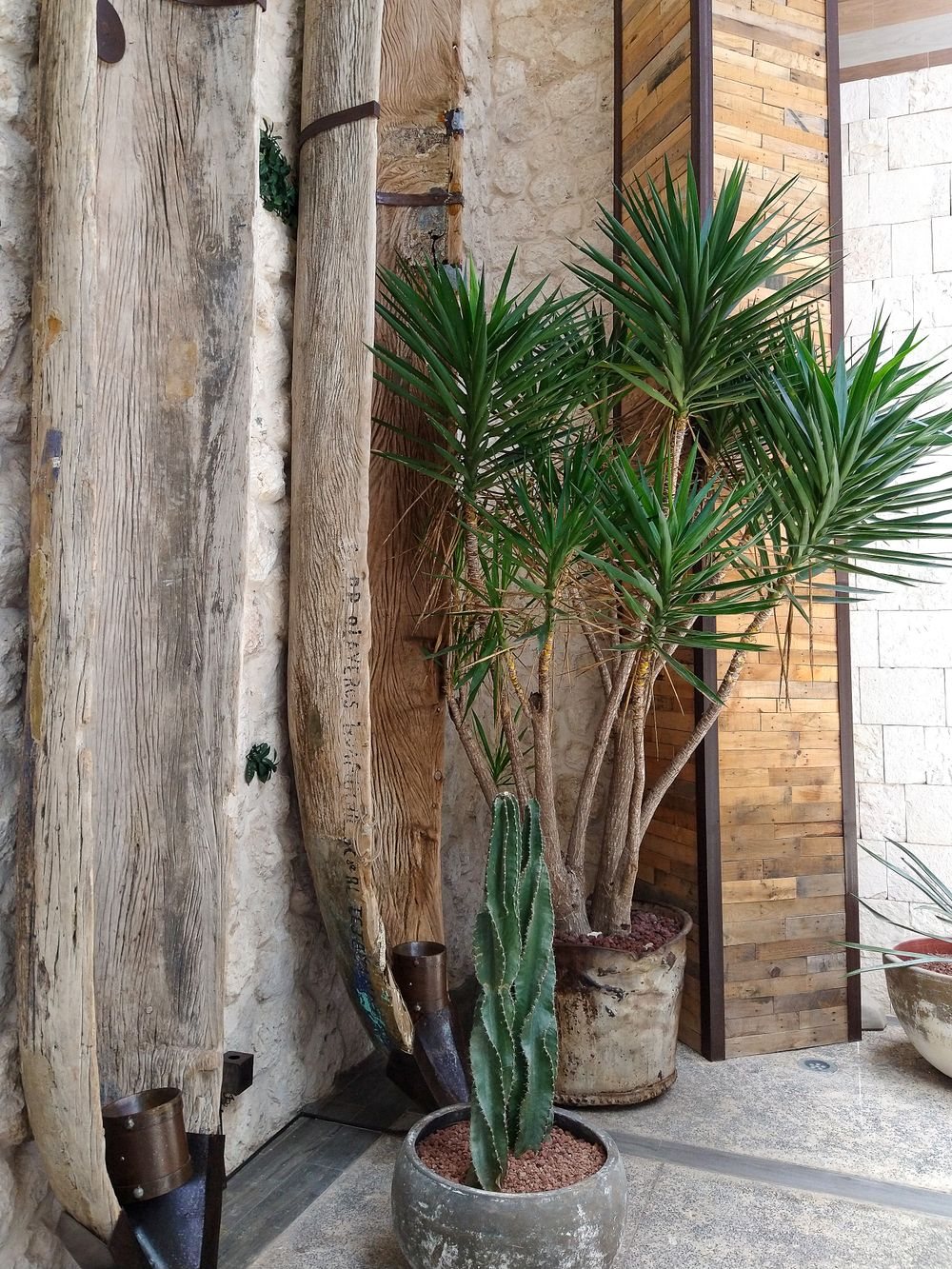 Tropical plants in the hotel