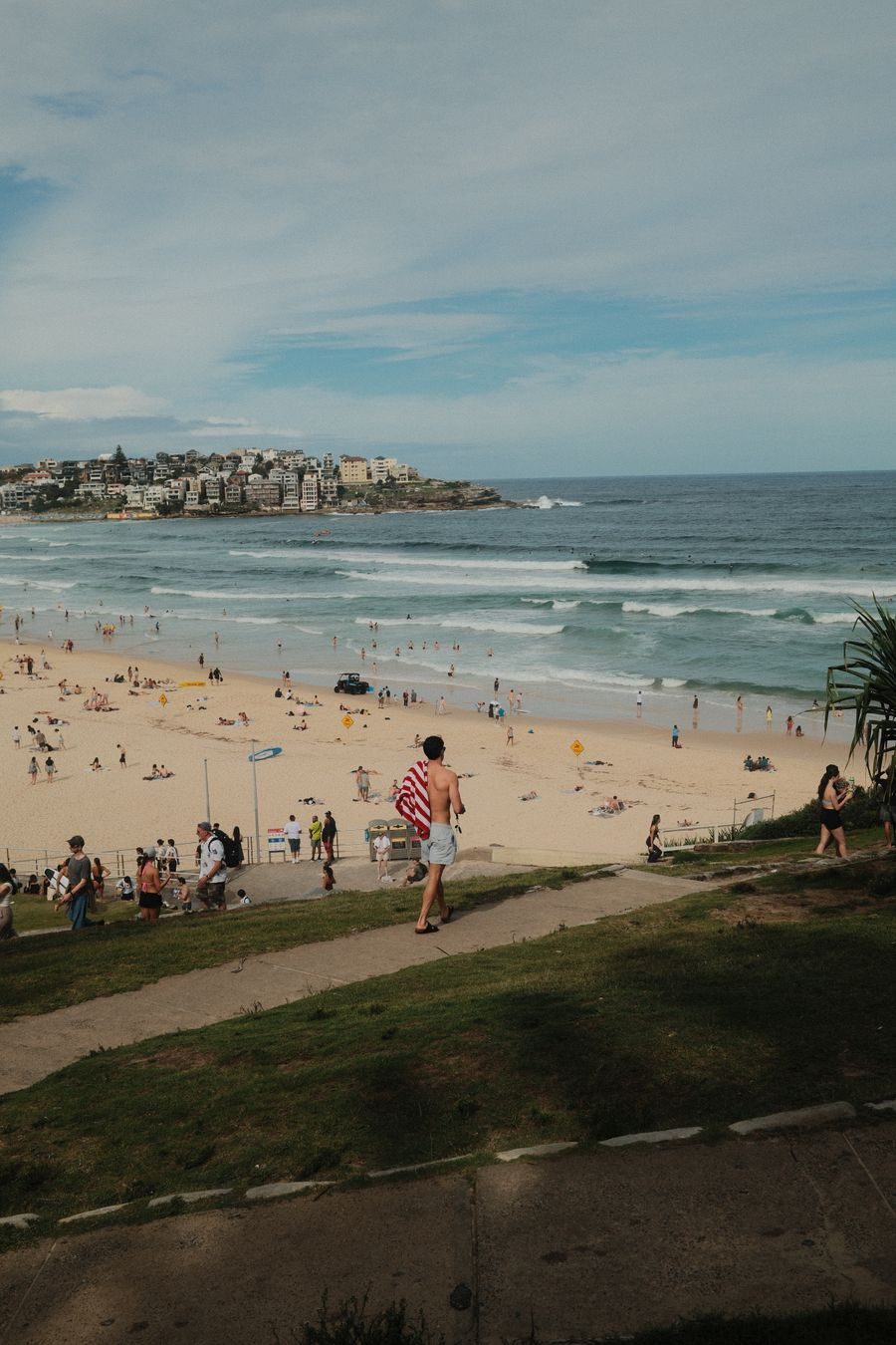 Sydney beach from the coastal walk