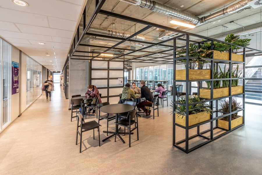 Student lounge with tables and plants